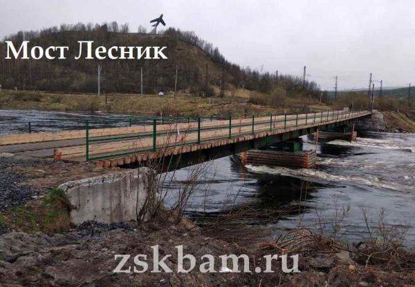 Мост Лесник