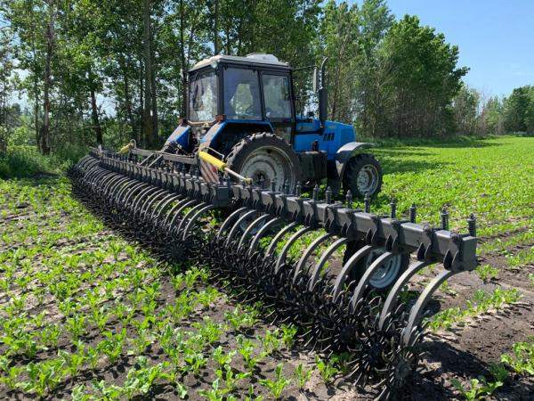 Мотыга ротационная навесная МРН 11СК "Орикон"