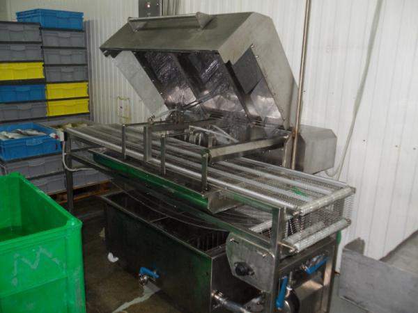 Мойка филе транспортерная