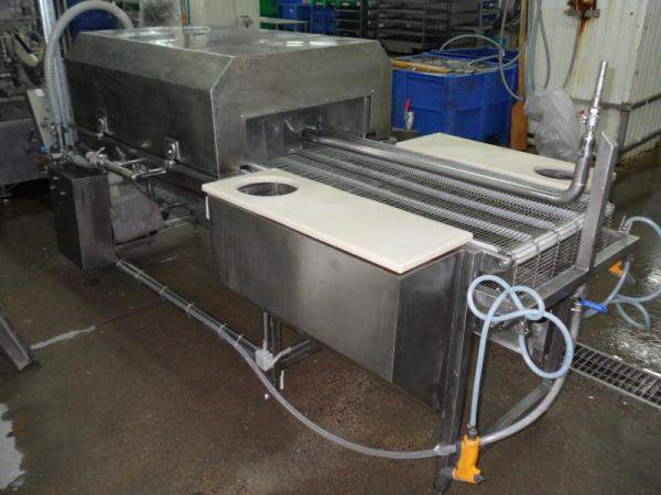 Мойка рыбы транспортерная