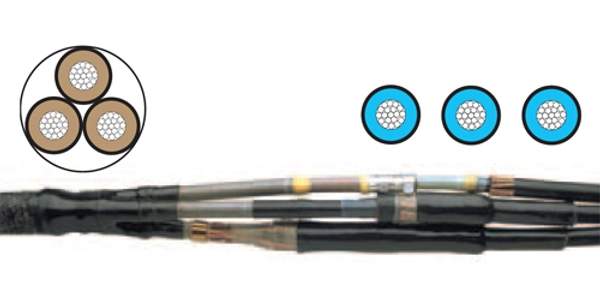 Муфта райхем (Raychem) TRAJ 12/1x70-120