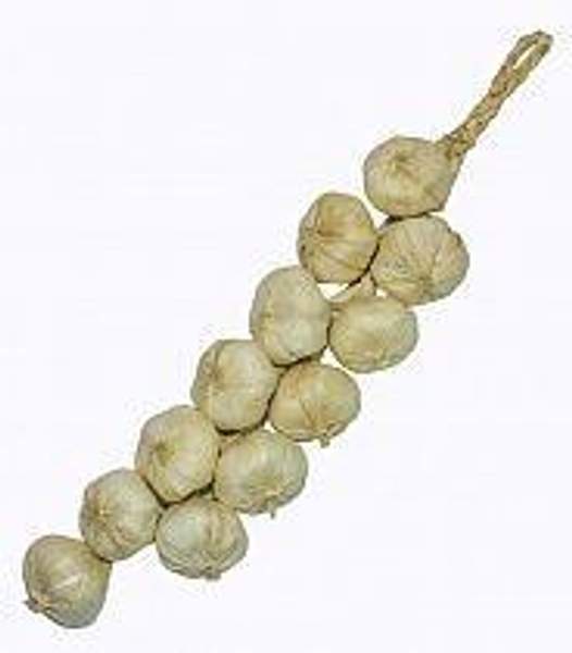 Муляж Чеснок связка,арт.0202123