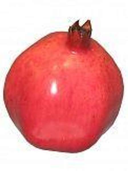 Муляж Гранат, арт 0201320