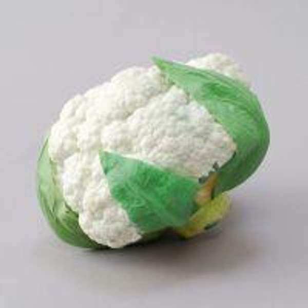 Муляж Капуста цветная