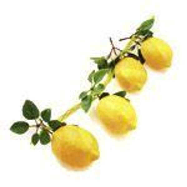 Муляж Лимон в связке