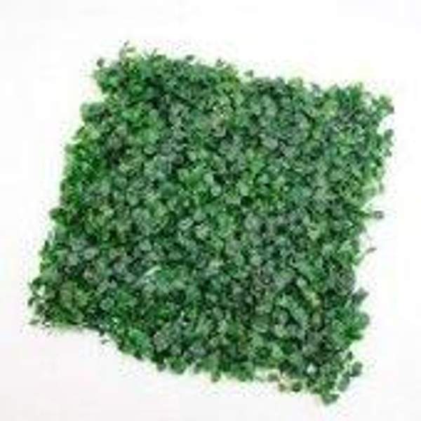 Муляж Трава брусника,250х250 мм