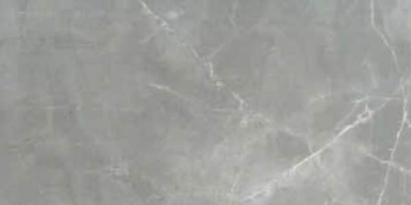 Напольная плитка Cerim Timeless Amani Grey Lucido Ret 60x120