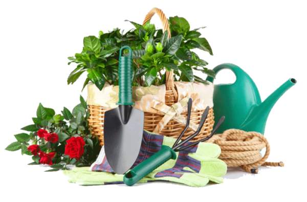 Навоз коровий с доставкой в Аннино