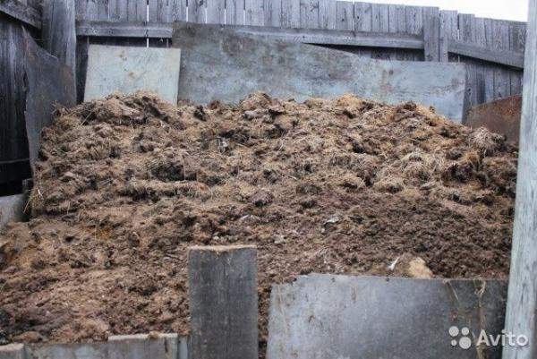 Навоз коровий с доставкой в Кипень