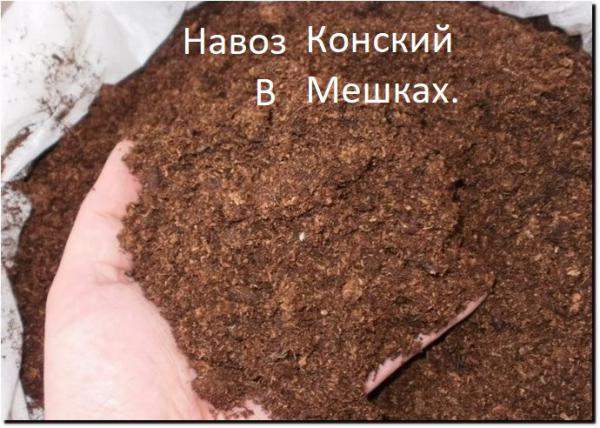 Навоз в мешках. Санкт-Петербург