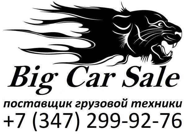 НЕФАЗ 421110-000002266/6