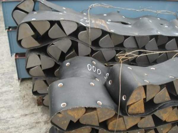 Нория ковшовая