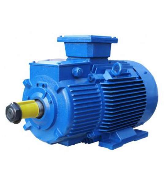 ОБЩЕПРОМЫШЛЕННЫЙ ЭЛЕКТРОДВИГАТЕЛЬ 5АИ 200 L6