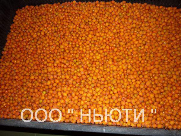 Облепиха замороженная