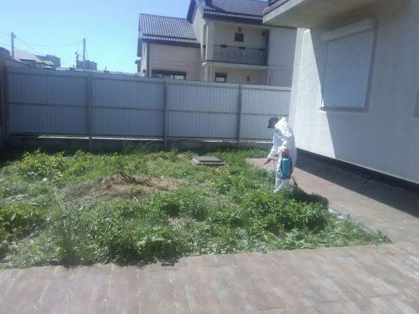 Обработка гербицидами