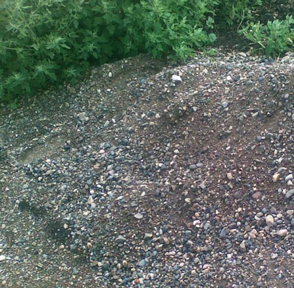 ОПГС (гравмасса) с доставкой по городу и области