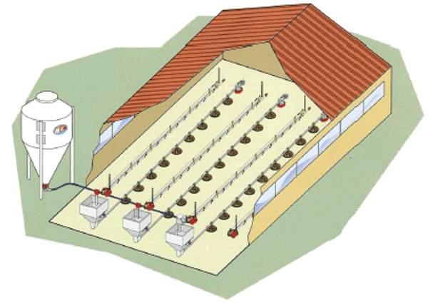 Оснащение птицеводческих комплексов