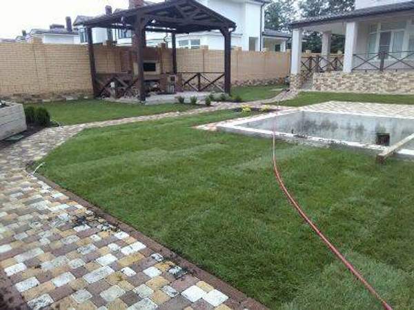 Озеленение придомовой территории