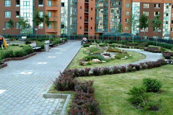 Озеленение придомовых территорий