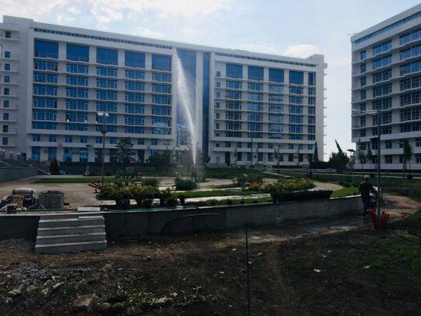 Озеленение санаториев