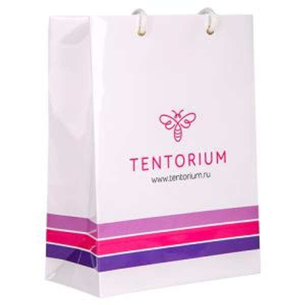 Пакет подарочный