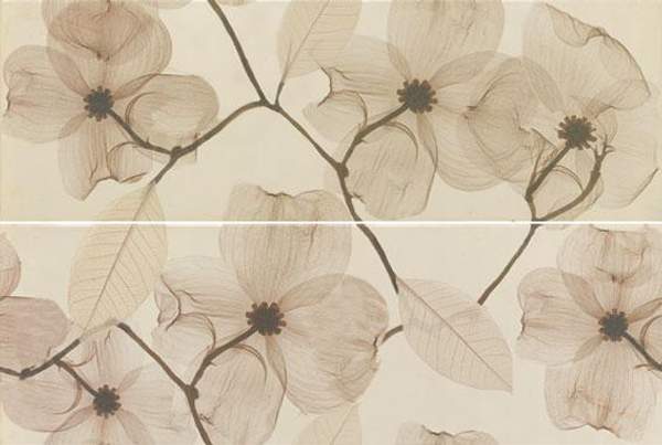 Панно APE Ceramica Home Decor Set (2) Moira Beige 40x60 (комплект)