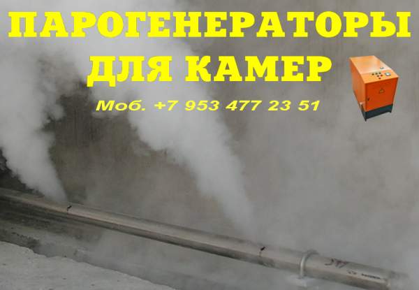 Парогенератор для пропарочной камеры купить