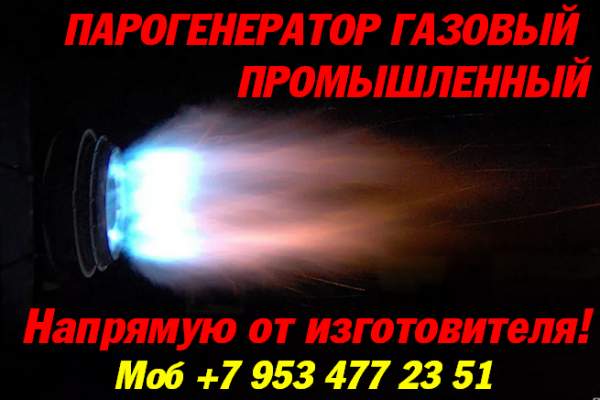 Парогенератор газовый промышленный купить