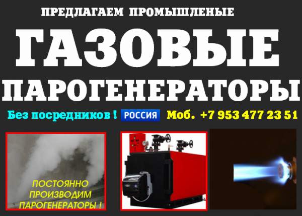 Парогенератор промышленный газовый купить цена