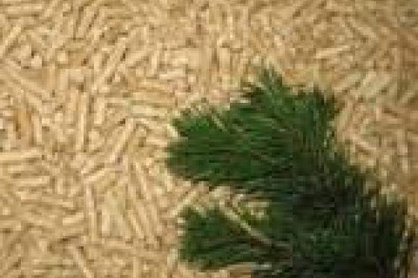 Пеллеты от производителя в Челябинске