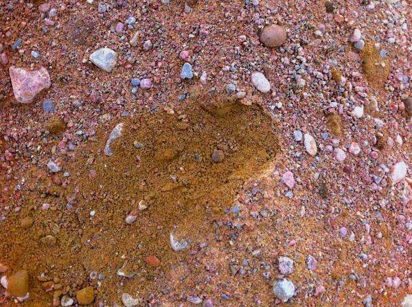 Песчано-гравийная смесь ОПГС с доставкой