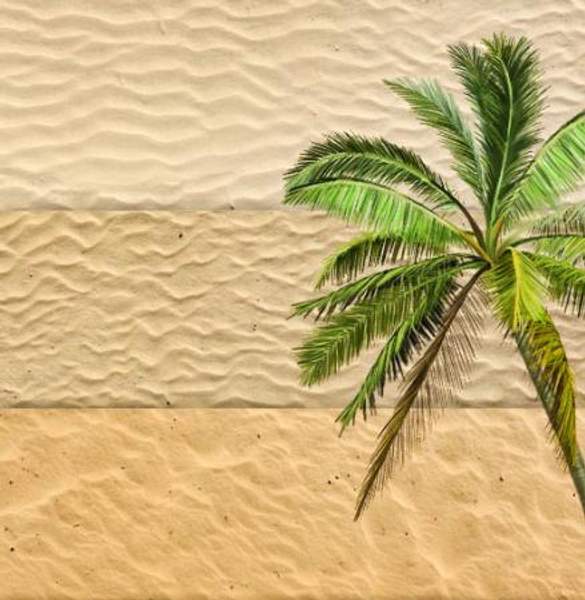 Песок речной и карьерный валом и мешках