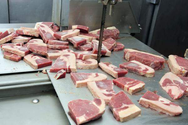 Пила для нарезания стейков Lenker 19*0,6 L=3160