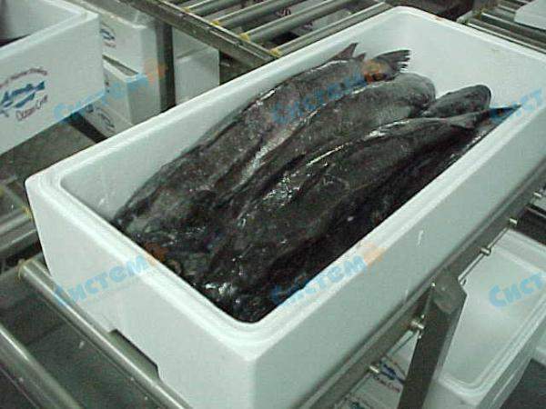 Пищевые термоконтейнеры