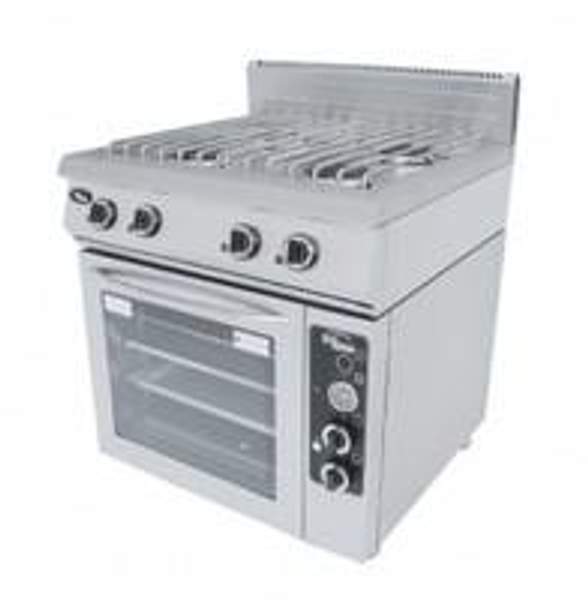 Плита газовая с духовкой Ф5ЖТЛпдг (решетка горелок из н/стали)