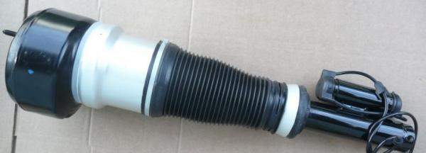 Пневмостойка передняя Mercedes W221 A2213209713