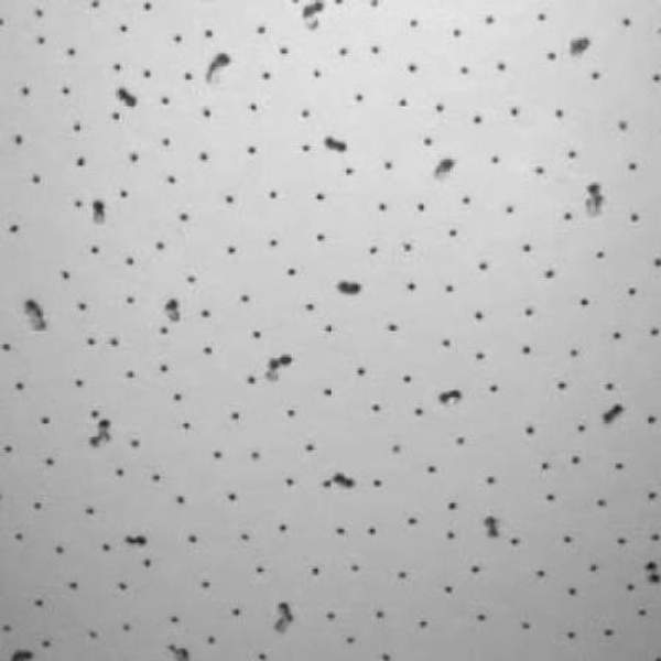 Подвесной потолок Декоратив 8мм 600х600