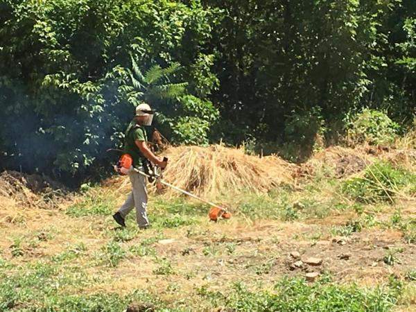 Покос травы