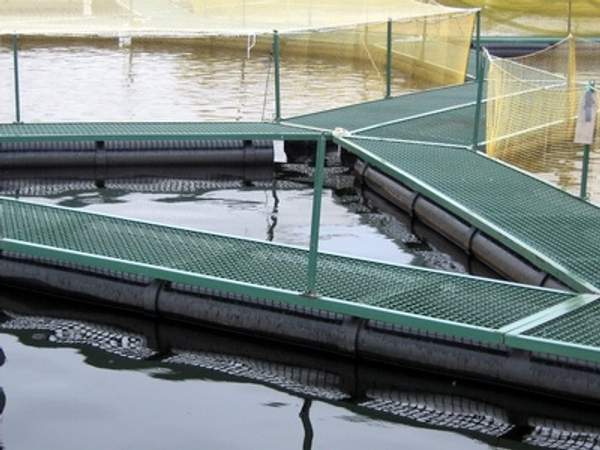 Поплавки. Пластиковые поплавки. Доставка по России!