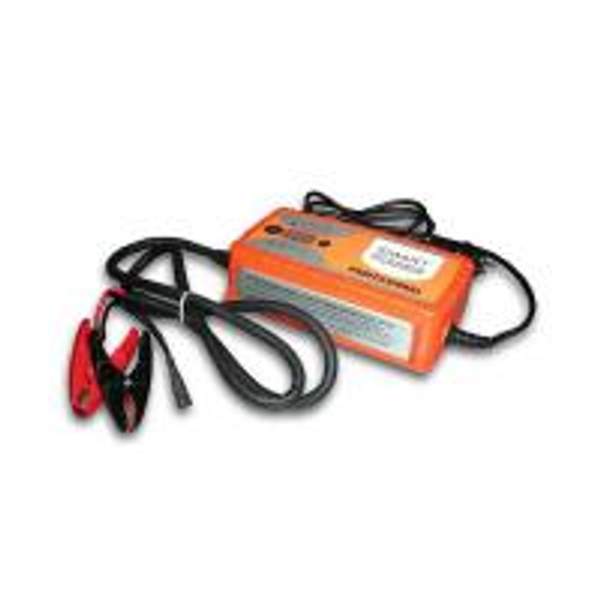 Портативный источник питания с фонарем BERKUT SP-25N