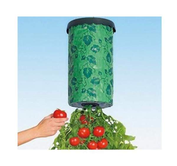 Приспособление для выращивания культур «Плантация» (td 0140)