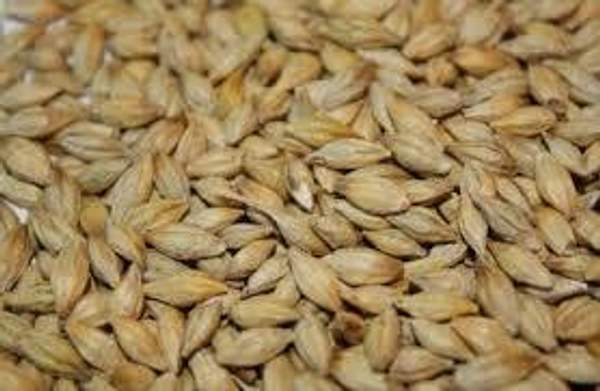 Продаю ячмень кормовой