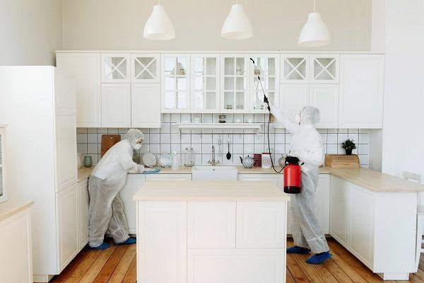 Профессиональная служба дезинфекции и дезинсекции «Дезпорядок»