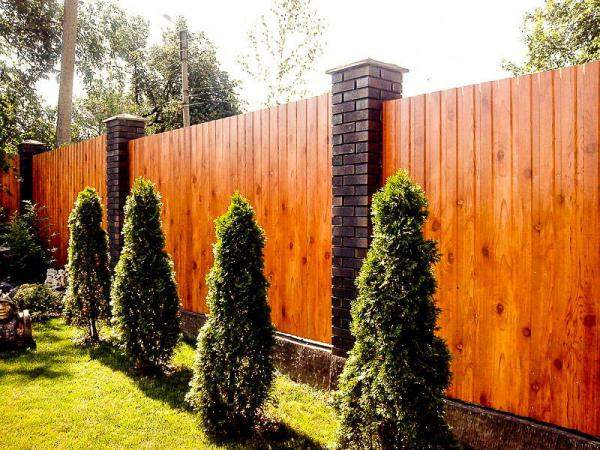 Профнастил С-8 Принтек цвета под дерево эконом 0,4 мм