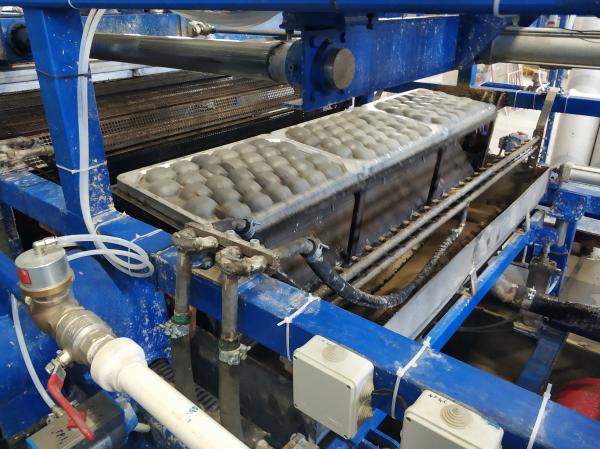 Производственная линия для изготовления бугорчатой прокладки для яиц