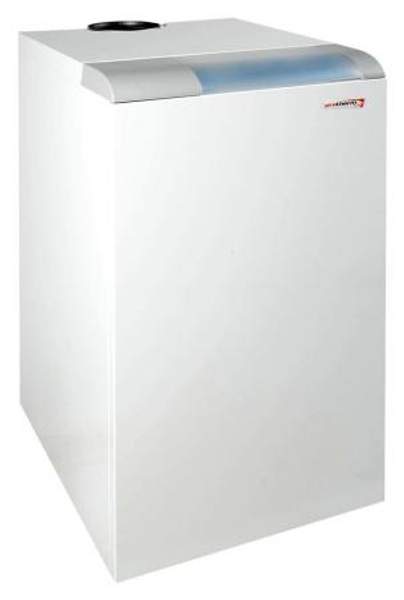 Protherm Газовый котел Protherm Медведь 20 PLO