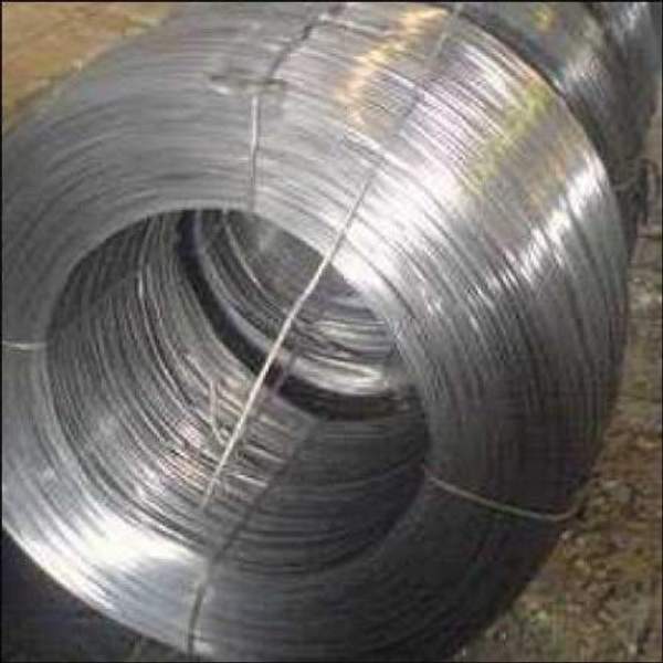 Проволока Л63 д.6 м