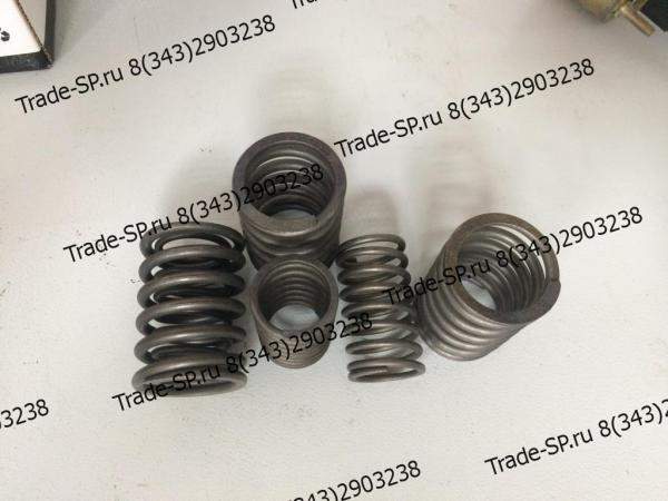 Пружина клапана двигателя ZHAZG1 ZHBZG1 NEO 200, BULL 920