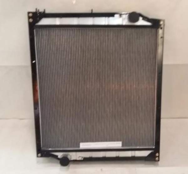 Радиатор системы охлаждения WG9725530011