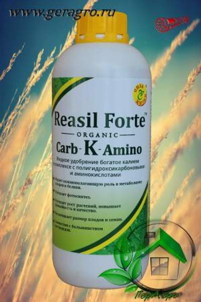 Реасил Форте (Калий) (флакон 1 л)